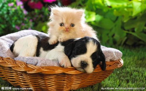 ֱΪʯҵ 㶫Ļᡰ˷硱ת